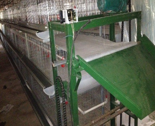 蛋鸡装备传送带式清粪机常见的这些问题你都知道吗？？？？